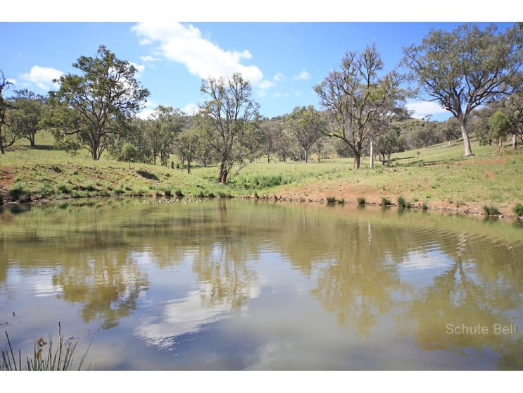 Click to view all images Tamworth NSW 2340 - Image 2