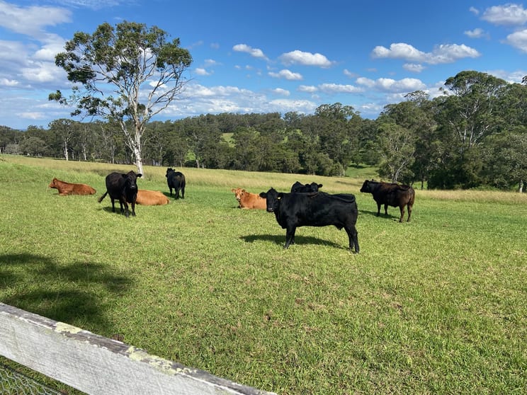 Click to view all images 72 Bells Lane Kurmond NSW 2757 - Image 1