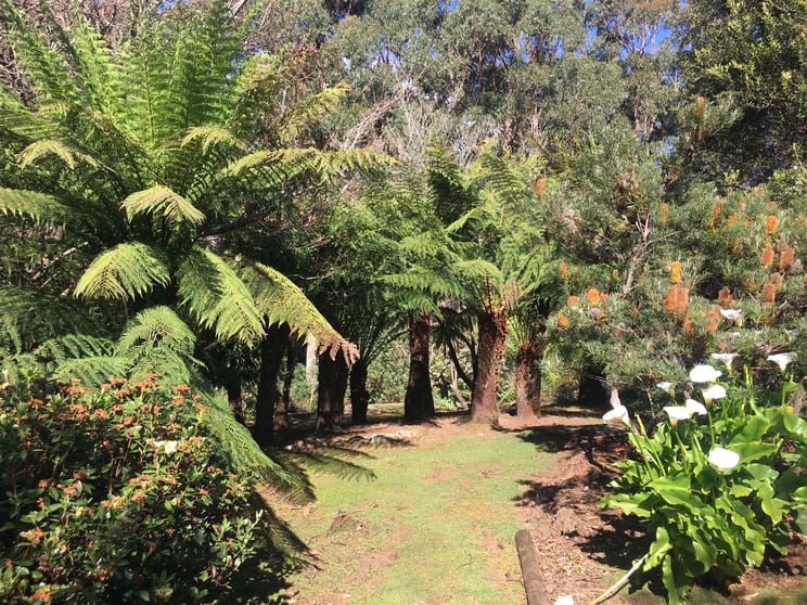 198 Whitehills Road Penguin TAS 7316 - Image 1
