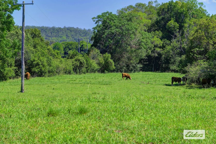 Click to view all images Kings Creek Road Krambach NSW 2429 - Image 2