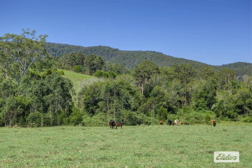 Click to view all images Kings Creek Road Krambach NSW 2429 - Image 3