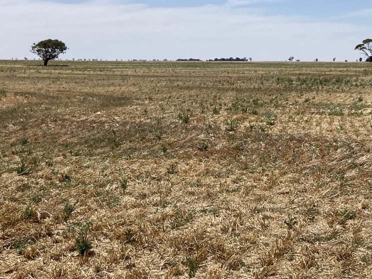 Click to view all images Watchem-Corack Road Watchem VIC 3482 - Image 2