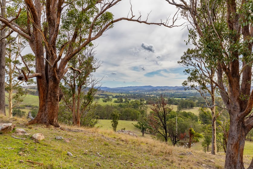 Click to view all images 1712 Stroud Hill Road Dungog NSW 2420 - Image 1