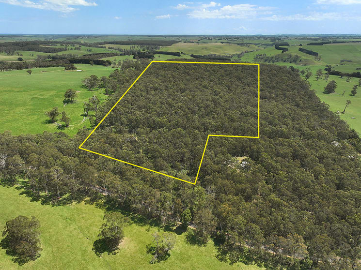 390 Old Port Campbell Road Jancourt East VIC 3266 - Image 2