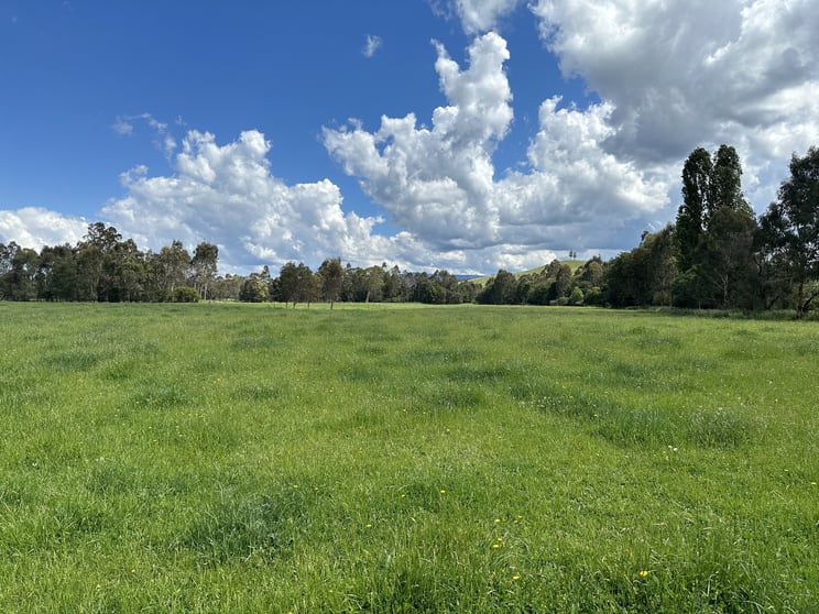 Click to view all images 175 Taggerty - Thornton Road Taggerty VIC 3714 - Image 3