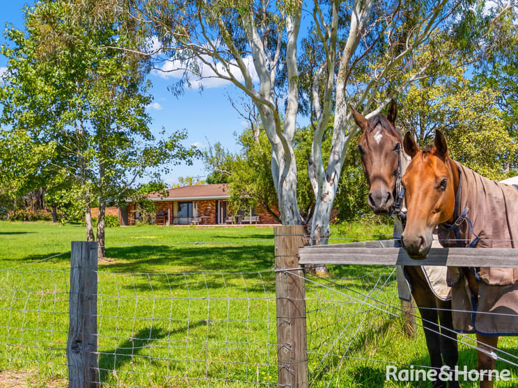 397 Croobyar Road (via Milton) Croobyar NSW 2539 - Image 3