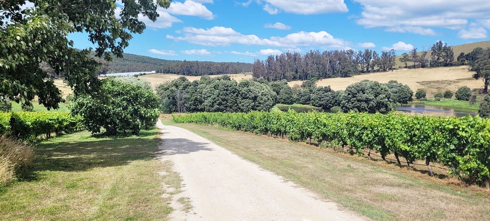 Click to view all images 167 Adams Road Lebrina TAS 7254 - Image 1