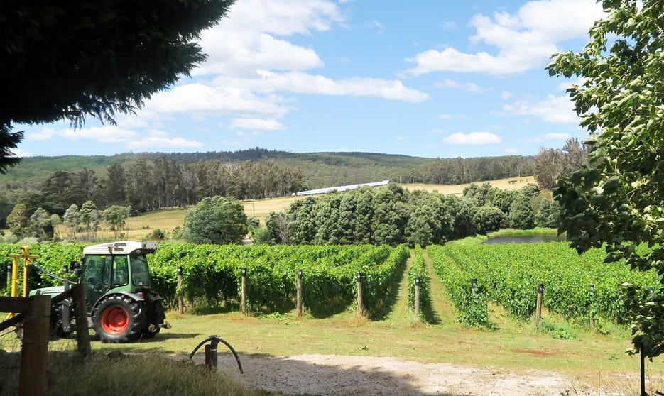 Click to view all images 167 Adams Road Lebrina TAS 7254 - Image 2