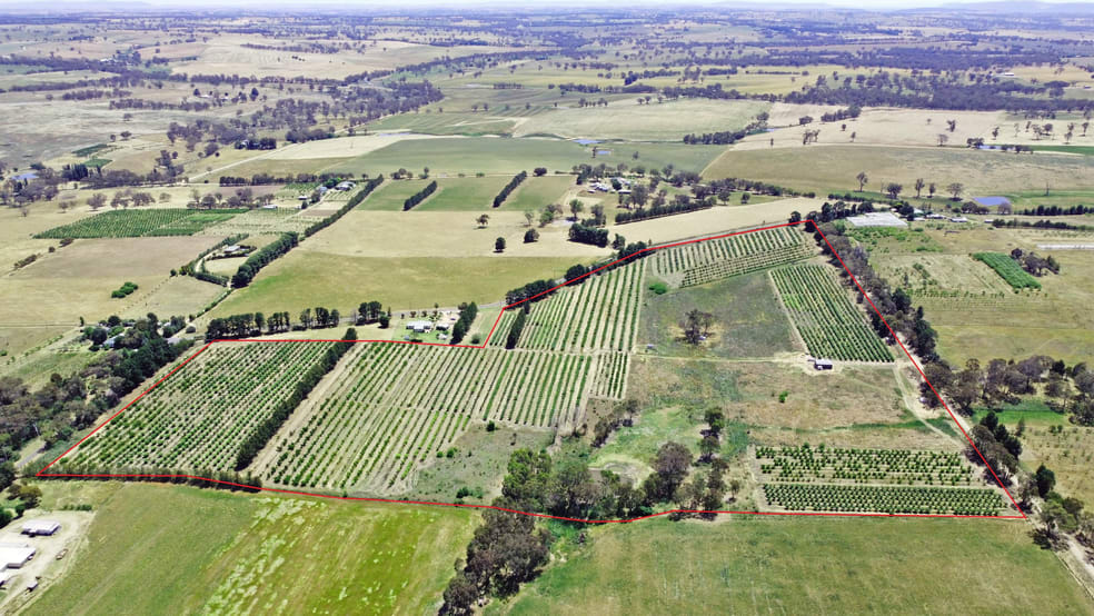Click to view all images Pine Road Young NSW 2594 - Image 1