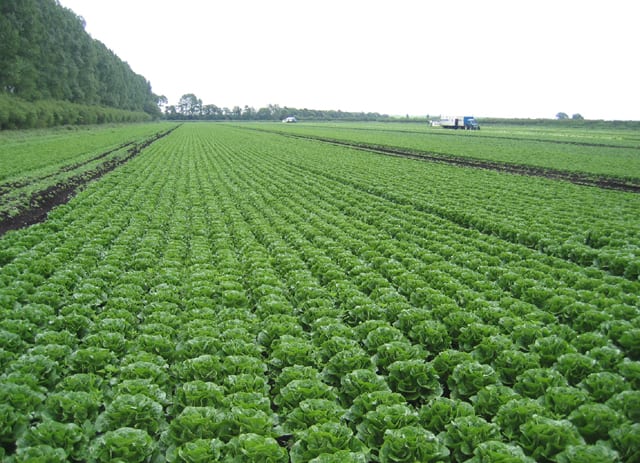 Click to view all images Rural & Farming business for sale in Shepparton - Image 1