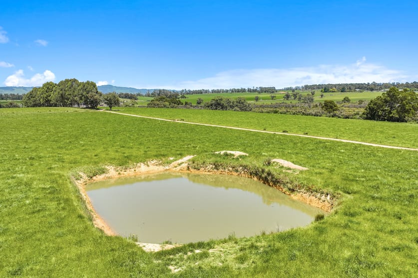 Click to view all images 435 Stuhrs Road Darnum VIC 3822 - Image 2