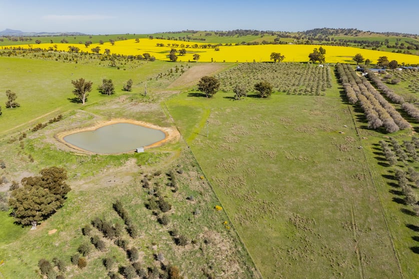 277 Cloughs Road Yarragundry NSW 2650 - Image 2