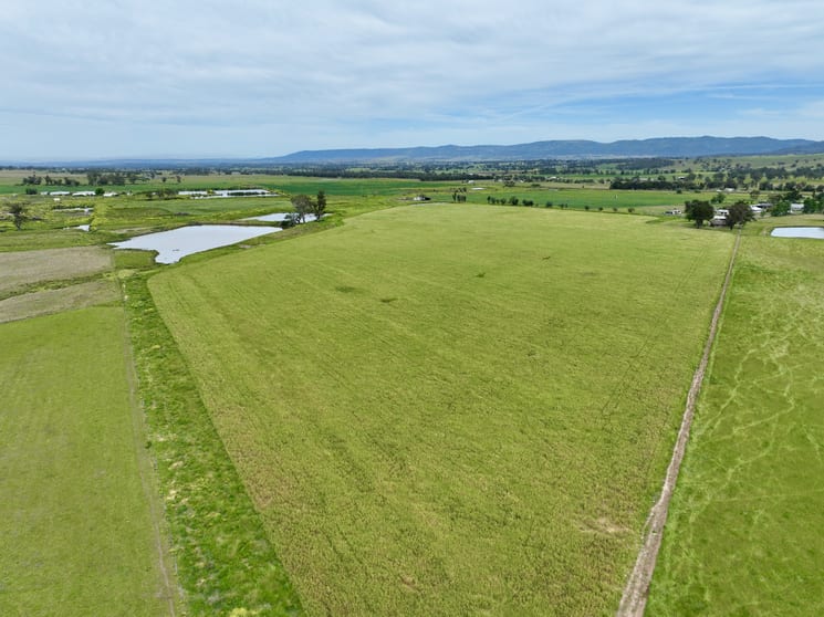 Click to view all images "Parkview" 41 Alfred Brown Lane Parkville Scone NSW 2337 - Image 1