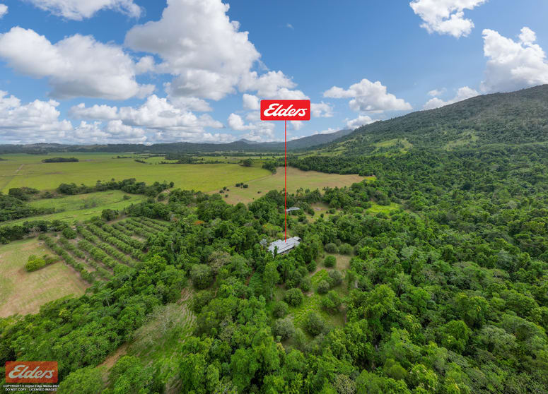 21 Wooloogin Road Japoonvale QLD 4856 - Image 3