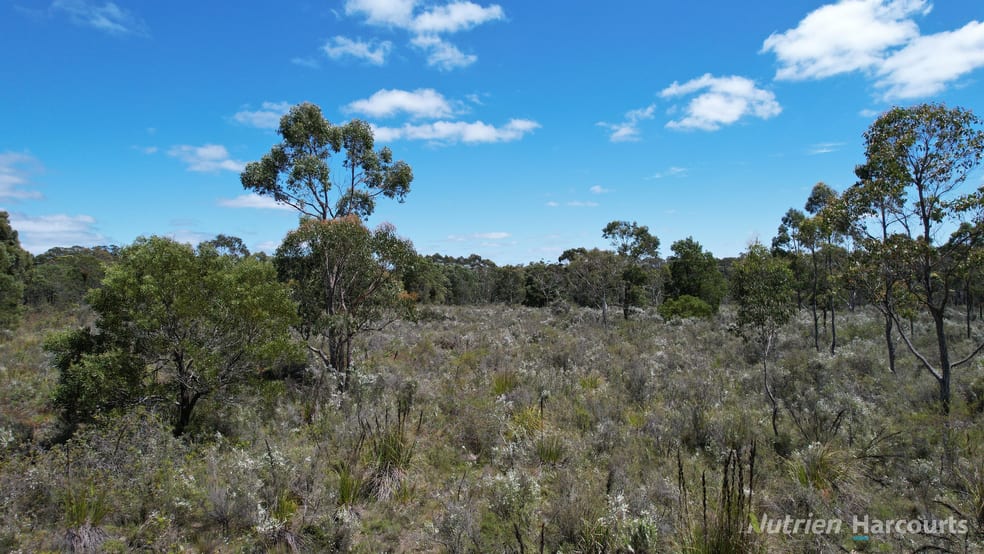 Click to view all images "Myamyn East" Triggers Road Myamyn VIC 3304 - Image 2