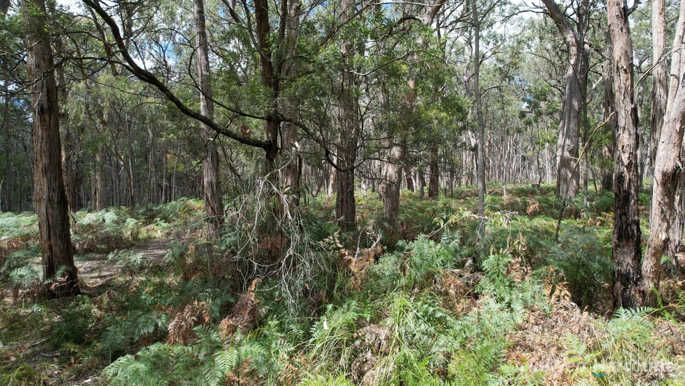 Click to view all images "Myamyn East" Triggers Road Myamyn VIC 3304 - Image 1