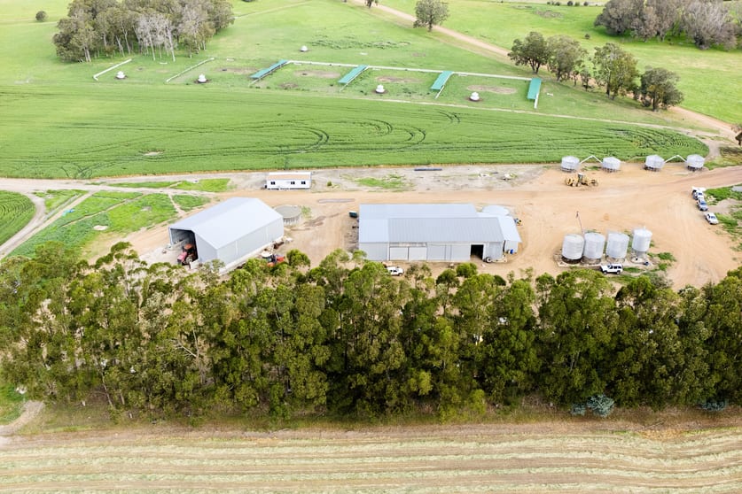 Blackwattle and Russell Road, West Cape Howe, Hay Shed Hill and wineries Frankland River WA 6396 - Image 3