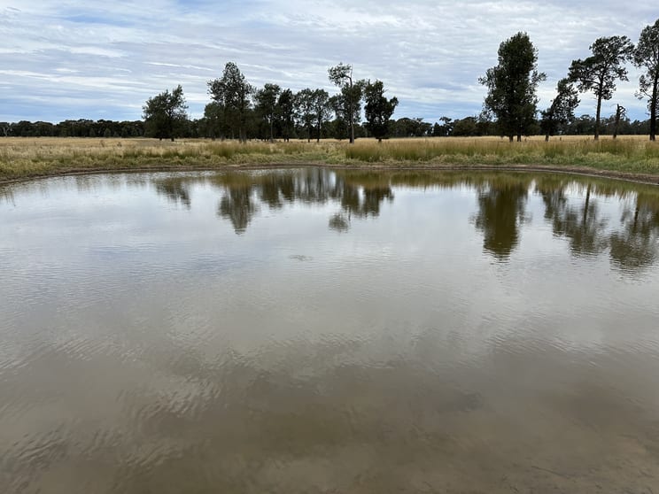 Click to view all images 126-184 Henty Walla Road Henty NSW 2658 - Image 3