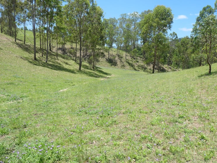 3/2806 Rocky River Road Rocky River NSW 2372 - Image 2