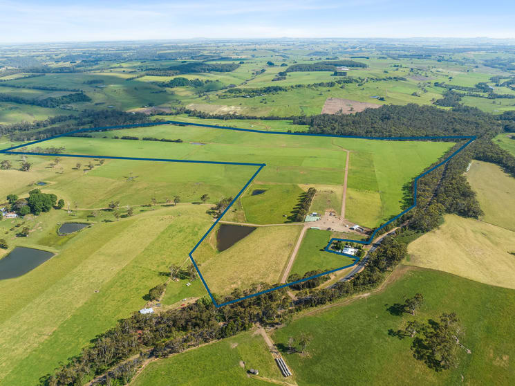 Click to view all images 876 Cobden Port Campbell Road Scotts Creek VIC 3267 - Image 2