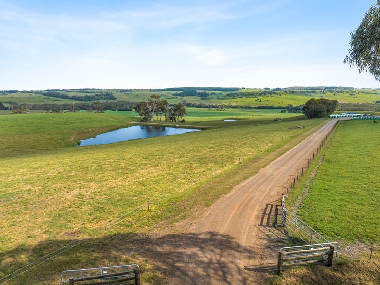 Click to view all images 876 Cobden Port Campbell Road Scotts Creek VIC 3267 - Image 3
