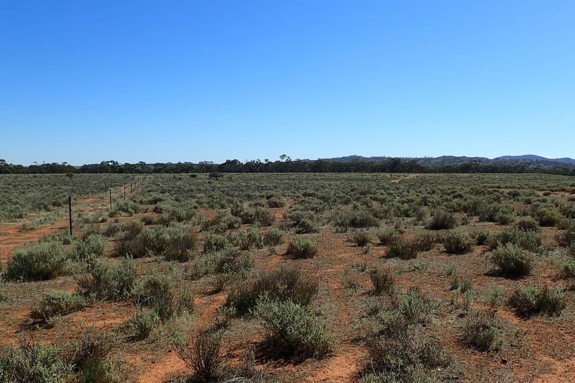 Click to view all images 'Markeys' Bri Glen Springs Road Wonna SA 5419 - Image 2