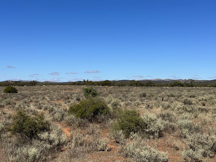 Click to view all images 'Markeys' Bri Glen Springs Road Wonna SA 5419 - Image 3