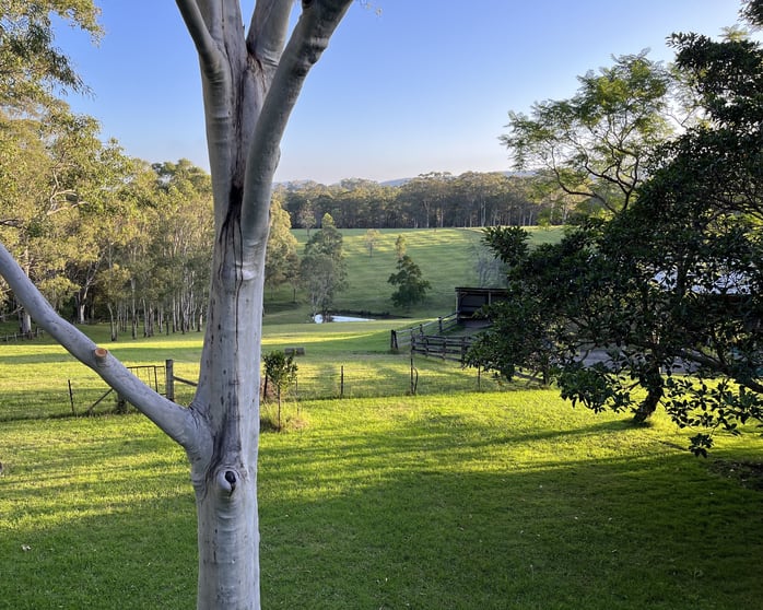 36 Vincents Road Kurrajong NSW 2758 - Image 3