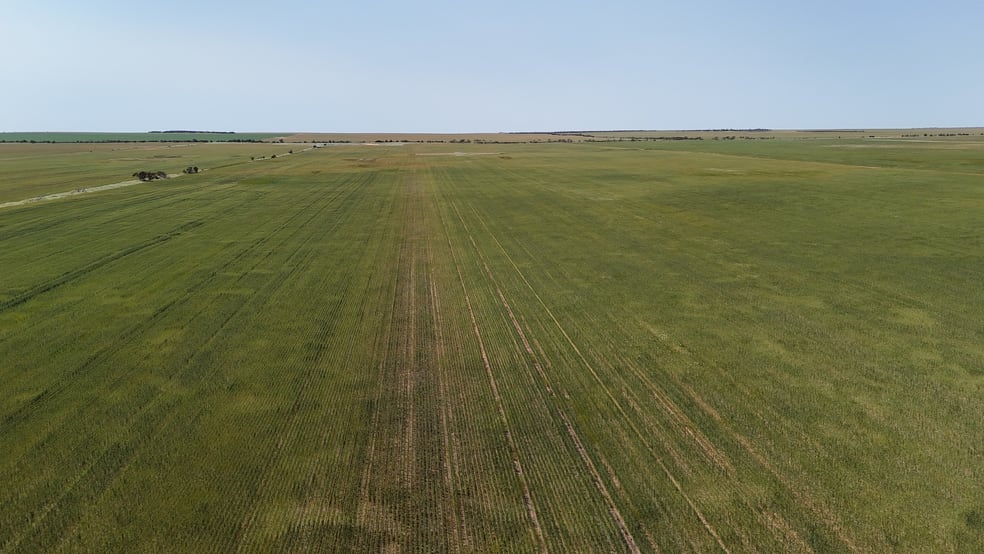 2064 Binnu Road East Ogilvie WA 6535 - Image 2
