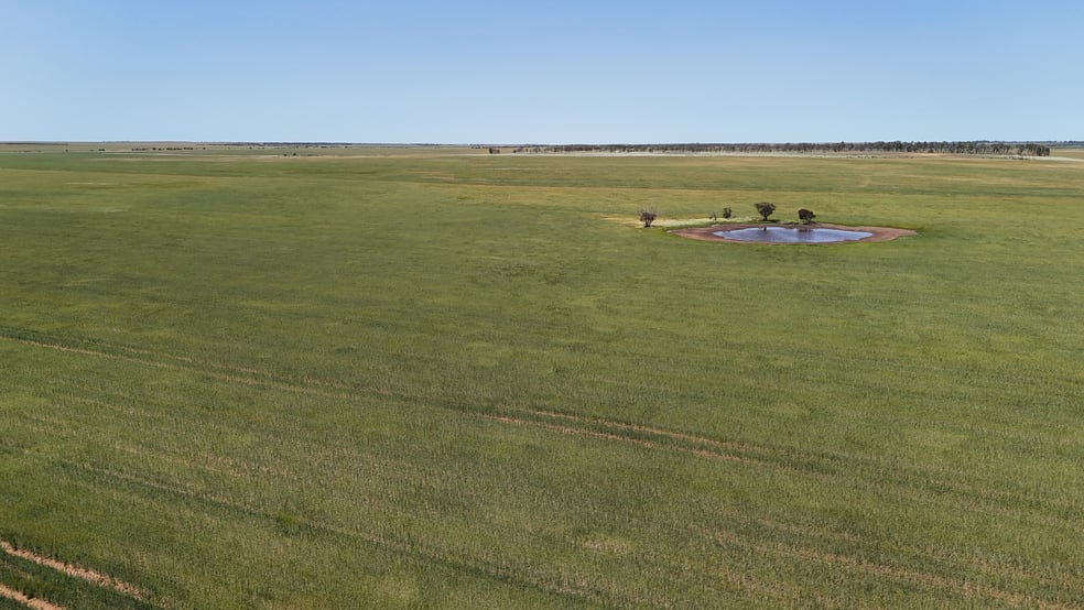 2064 Binnu Road East Ogilvie WA 6535 - Image 3