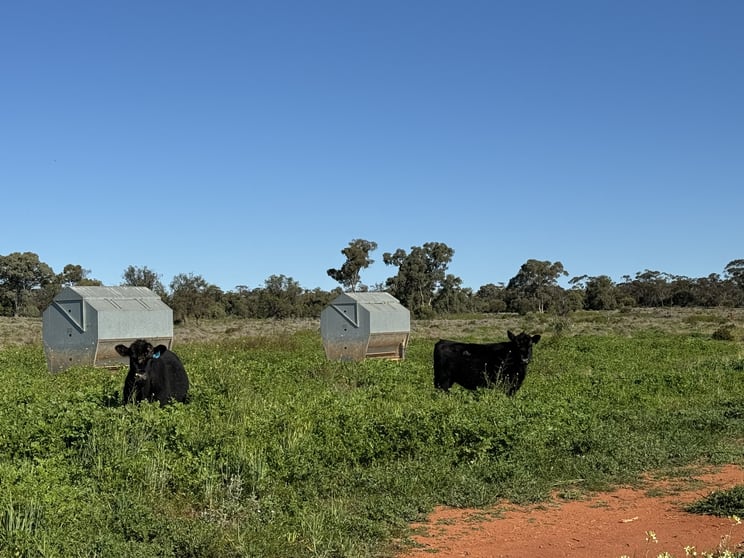 Click to view all images 2823 Hermidale Nymagee Road Hermidale NSW 2831 - Image 3