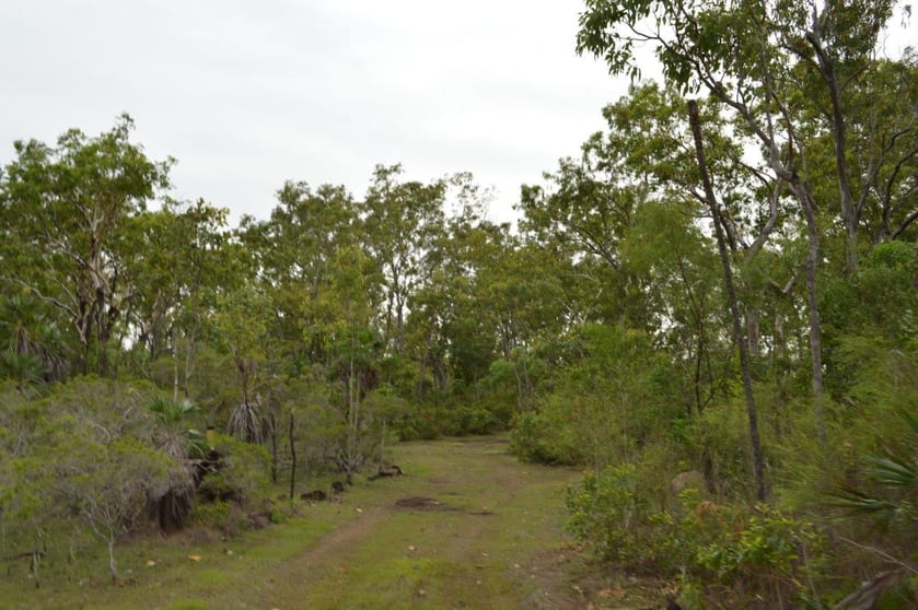 Click to view all images 3501/4625 Fog Bay Road Dundee Forest NT 0840 - Image 2