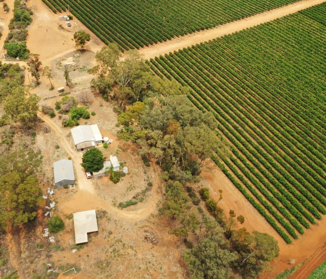 Click to view all images 151 ELEPHANT TRUNK ROAD Cobdogla SA 5346 - Image 3