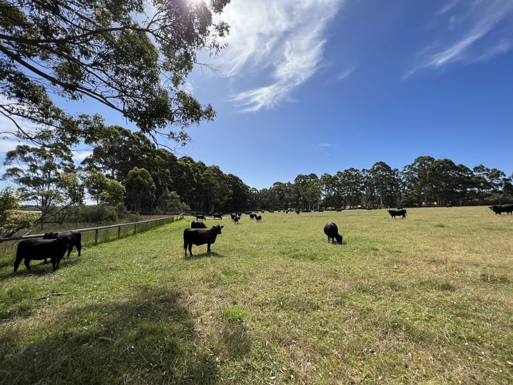 Click to view all images 853 Happy Valley Road Kordabup WA 6333 - Image 1