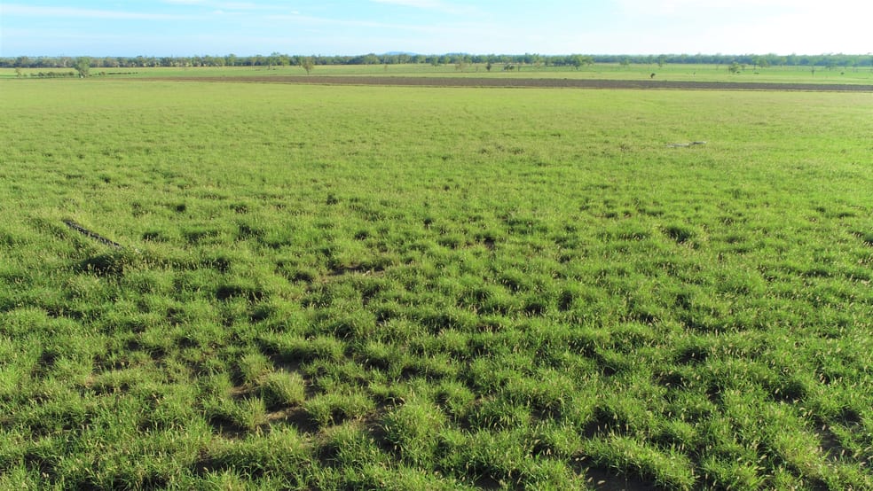 Click to view all images 'Yarrum' 930A Southern Road Roma QLD 4455 - Image 3