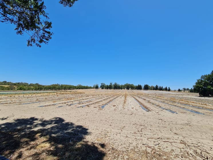 132 Dooling Road Neergabby WA 6503 - Image 1