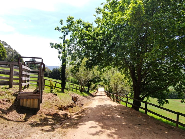 Click to view all images 2625 Grand Ridge Road Hallston VIC 3953 - Image 3