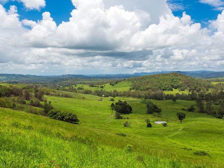 Click to view all images 266 Whelan Rd Bollier QLD 4570 - Image 2