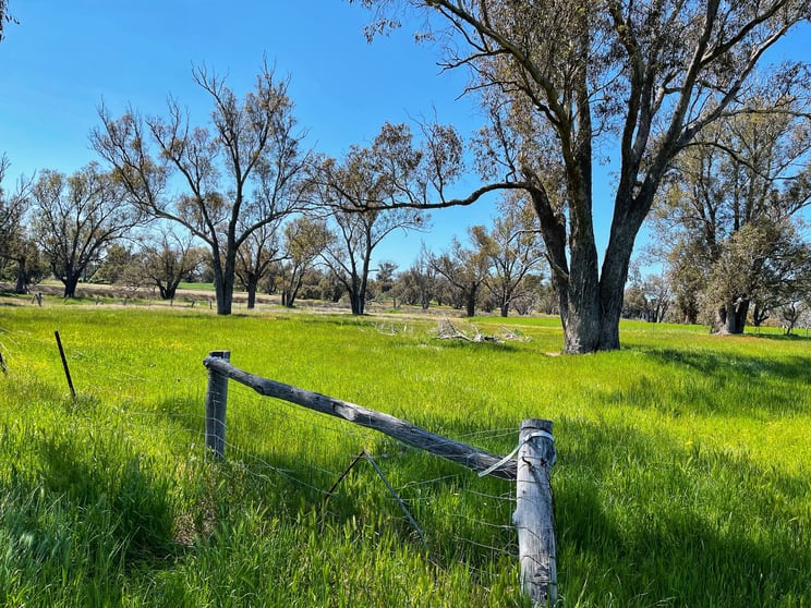 Click to view all images Darganullup 1431 Boyup Brook - Kojonup Road Mayanup WA 6244 - Image 2