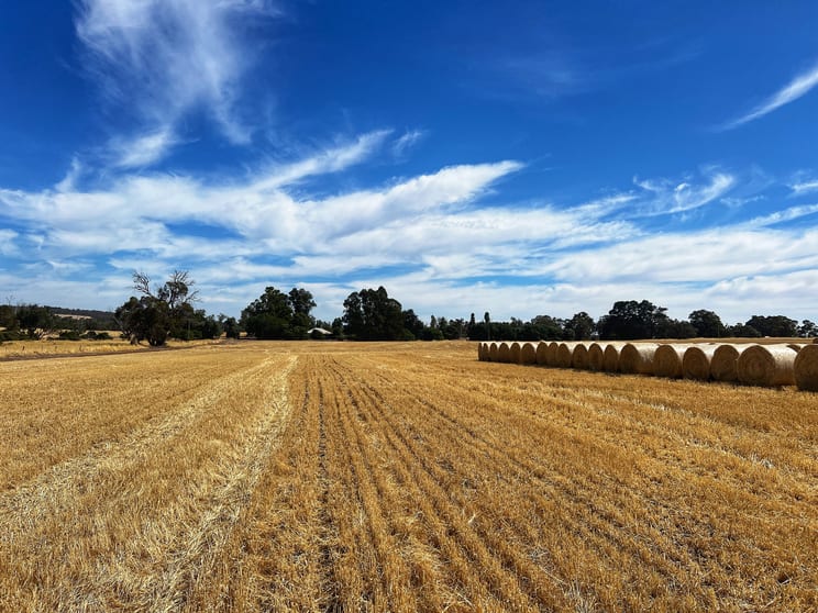 Click to view all images Darganullup 1431 Boyup Brook - Kojonup Road Mayanup WA 6244 - Image 3