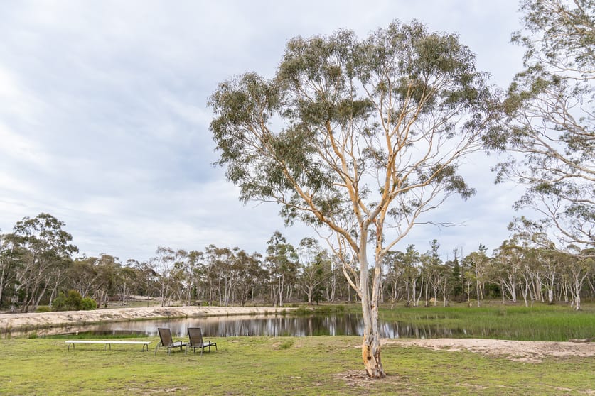 322 Mogo Road Oallen NSW 2622 - Image 3