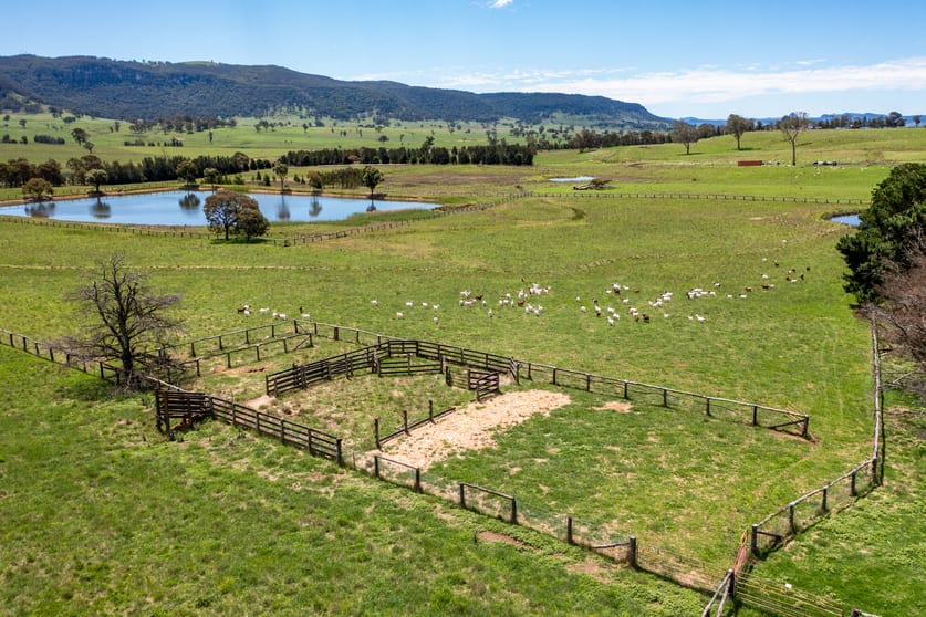 1275 Glen Alice Rd Rylstone NSW 2849 - Image 3