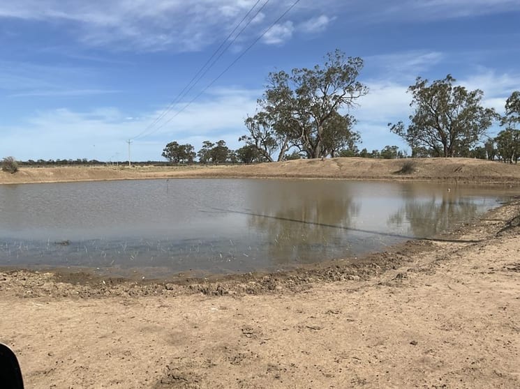 Click to view all images 50 Warrena Road Coonamble NSW 2829 - Image 2