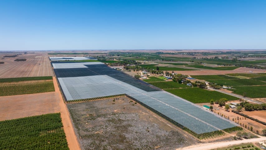 Click to view all images Loxton North SA 5333 - Image 2