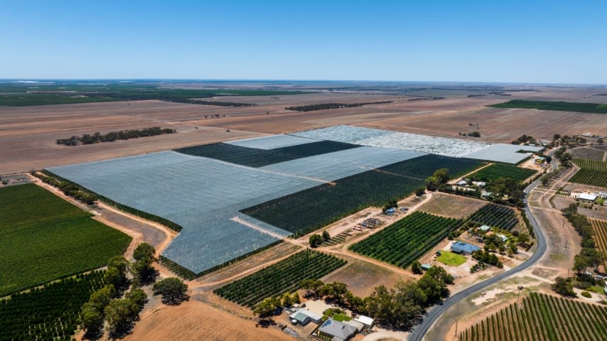 Click to view all images Loxton North SA 5333 - Image 3