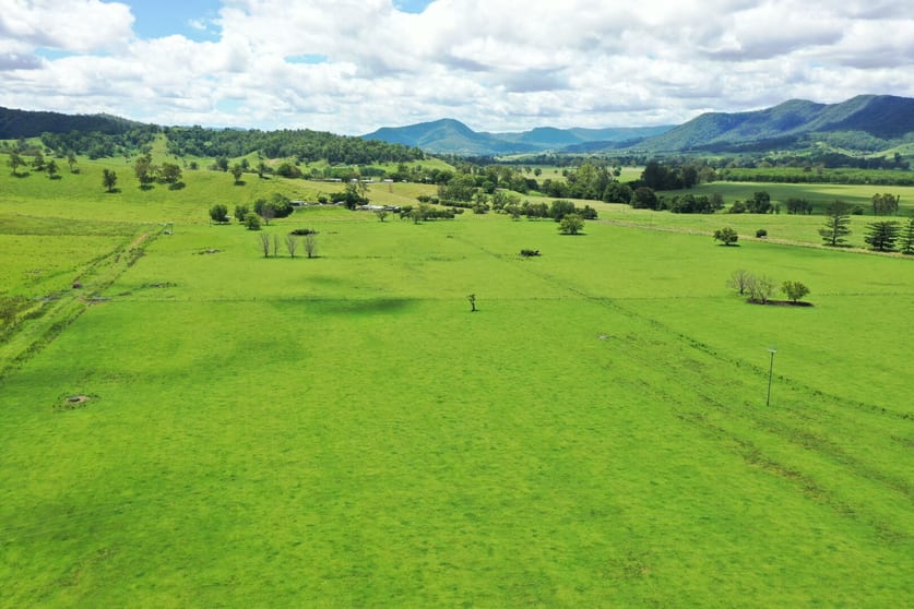 Click to view all images 849 Wiangaree Back Road Kyogle NSW 2474 - Image 2