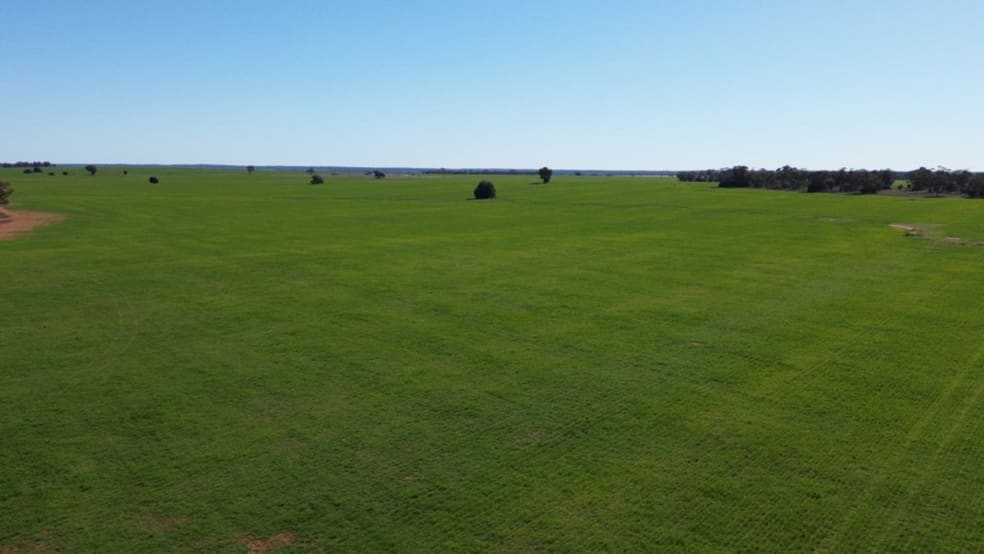 Marooba 3159 Nyngan Road Tottenham NSW 2873 - Image 2