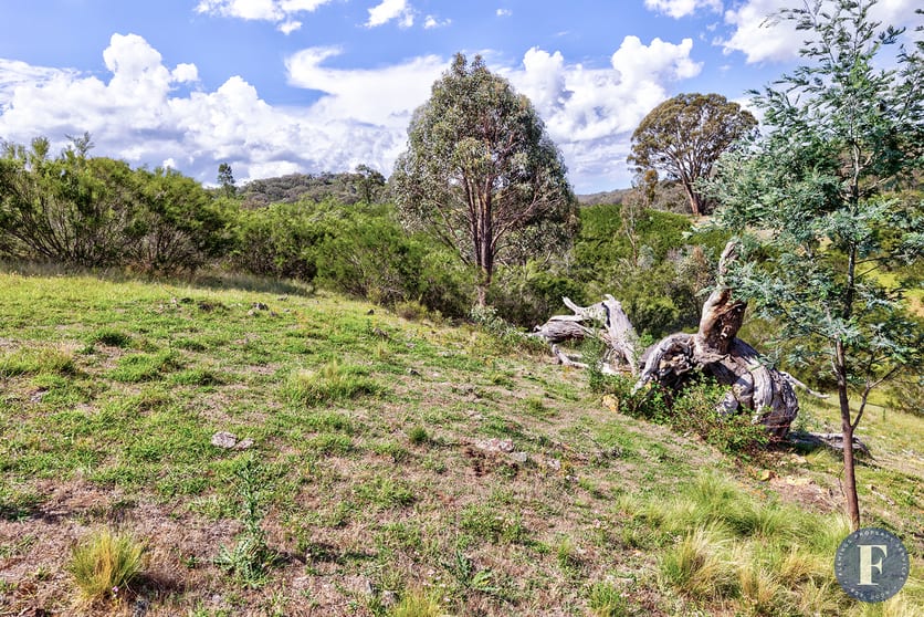 Click to view all images Lot 115 863 Taylors Flat Road Taylors Flat NSW 2586 - Image 2