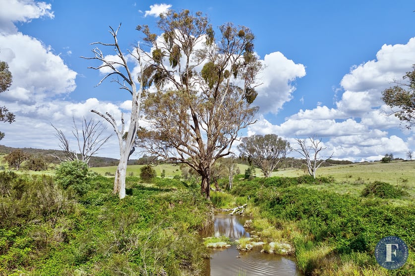 Click to view all images Lot 115 863 Taylors Flat Road Taylors Flat NSW 2586 - Image 3