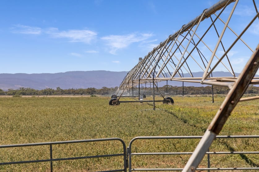 Click to view all images 'Bonnie-Doon' Augusta Highway Baroota SA 5495 - Image 3